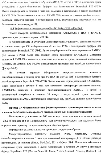 Аминокислотные последовательности, направленные на rank-l, и полипептиды, включающие их, для лечения заболеваний и нарушений костей (патент 2481355)