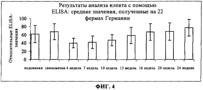 Способ диагностики lawsonia intracellularis (патент 2400758)