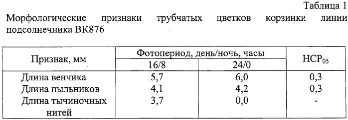 Способ получения гибрида растения подсолнечника (патент 2302105)