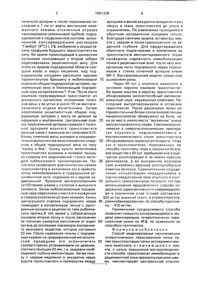 Способ моделирования реиннервации гетеротонически пересаженной почки (патент 1681326)