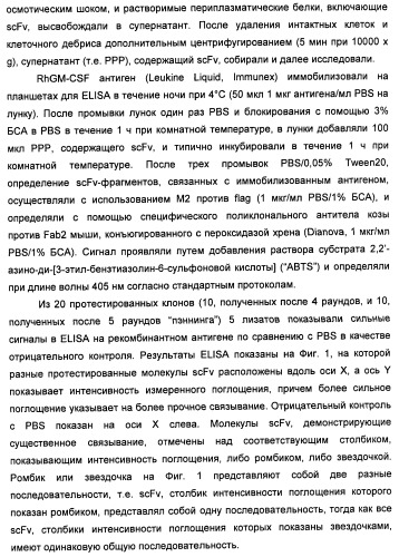 Антитела-нейтрализаторы гранулоцитарно-макрофагального колониестимулирующего фактора человека (патент 2458071)