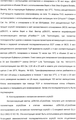 Выделенный полипептид, обладающий антивирусной активностью (варианты), кодирующий его полинуклеотид (варианты), экспрессирующий вектор, рекомбинантная клетка-хозяин, способ получения полипептида, антитело, специфичное к полипептиду, и фармацевтическая композиция, содержащая полипептид (патент 2321594)