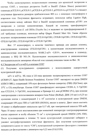 Днк, кодирующая модифицированное антитело или соединение с активностью агониста тро, способ их получения и животная клетка или микроорганизм, их продуцирующие (патент 2422528)