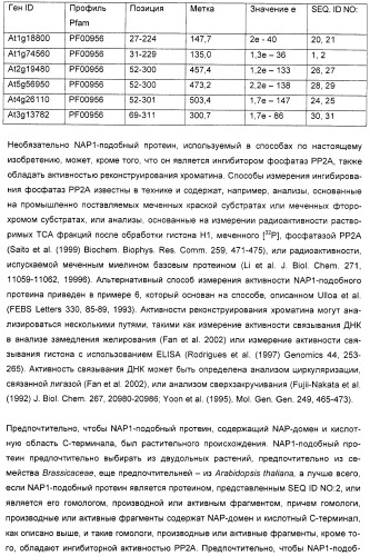 Способ повышения выхода семян растения, способ производства трансгенного растения, имеющего повышенную урожайность семян, генная конструкция для экспрессии в растении и трансгенное растение (патент 2409938)