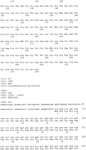 Гены corynebacterium glutamicum, кодирующие белки, участвующие в метаболизме углерода и продуцировании энергии (патент 2310686)