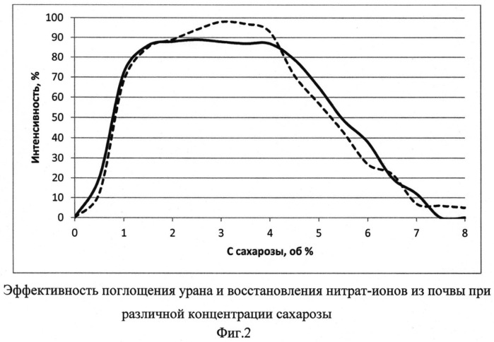 Способ создания барьера in situ для предотвращения миграции компонентов радиоактивных отходов из зон захоронения и областей радиоактивного загрязнения (патент 2547812)