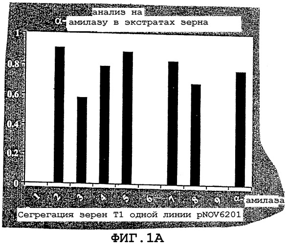 Аутопроцессирующиеся растения и части растений (патент 2312144)