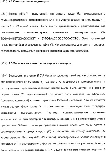 Специфические антитела человека для избирательной терапии рака (патент 2316564)