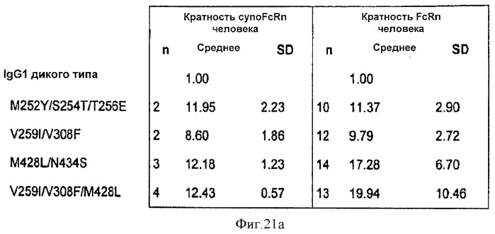 Варианты fc с измененным связыванием c fcrn (патент 2529951)