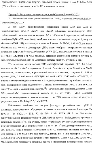 Модифицированная ксиланаза (патент 2394909)
