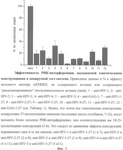 Генетические конструкции, атакующие шесть новых мишеней рнк-интерференции в транскриптах вируса иммунодефицита человека 1 типа и подавляющие репродукцию вируса в клетках человека (патент 2385939)