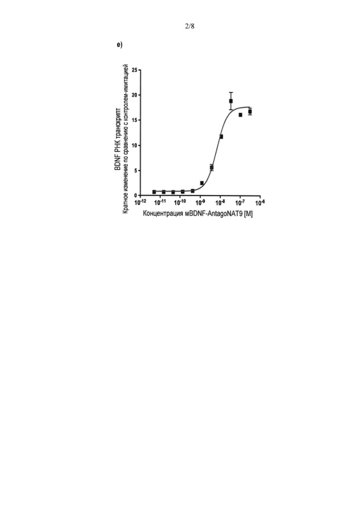 Лечение заболеваний, связанных с нейтрофическим фактором головного мозга (bdnf), путем ингибирования природного антисмыслового транскрипта bdnf (патент 2661104)