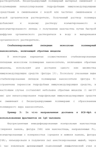 Нацеливание на антигенпрезентирующие клетки иммунонанотерапевтических средств (патент 2497542)