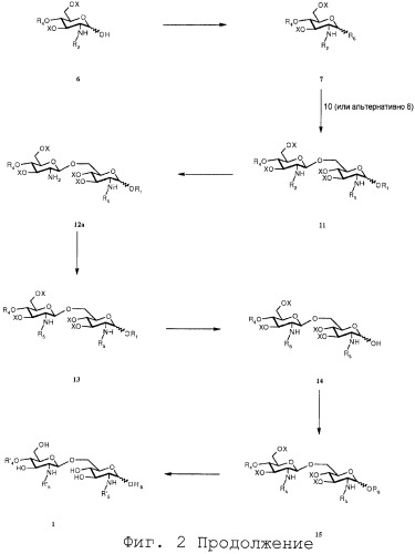 Функционализированные бета 1,6 глюкозамин-дисахариды и способ их получения (патент 2481352)