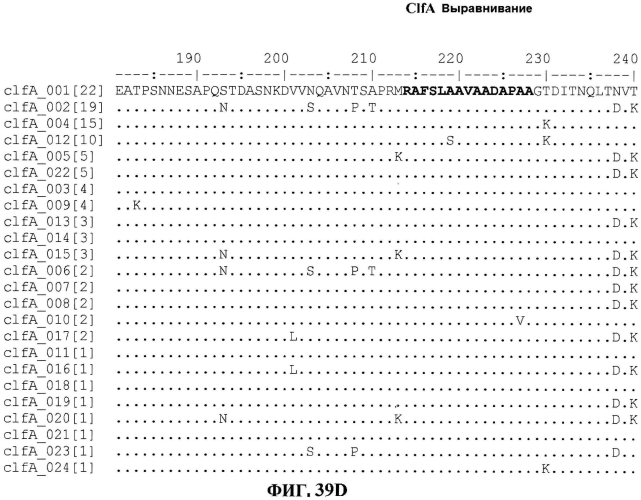 Стабильные иммуногенные композиции антигенов staphylococcus aureus (патент 2570730)