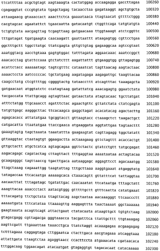 Бактериофаг, обладающий активностью против pseudomonas aeruginosa, белки бактериофага и способы их применения (патент 2580248)