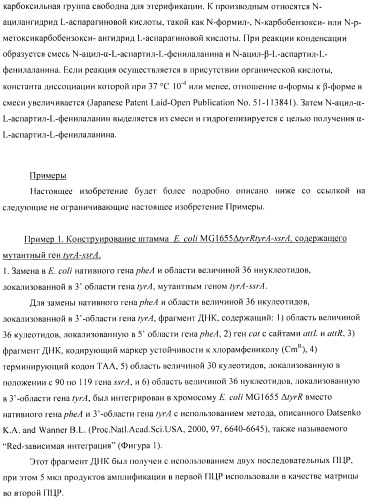 Способ получения аминокислот с использованием бактерии, принадлежащей к роду escherichia (патент 2396336)