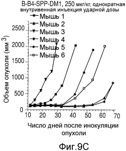 Способы улучшения направленного воздействия на cd138-экспрессирующие опухолевые клетки и агенты для их осуществления (патент 2486203)