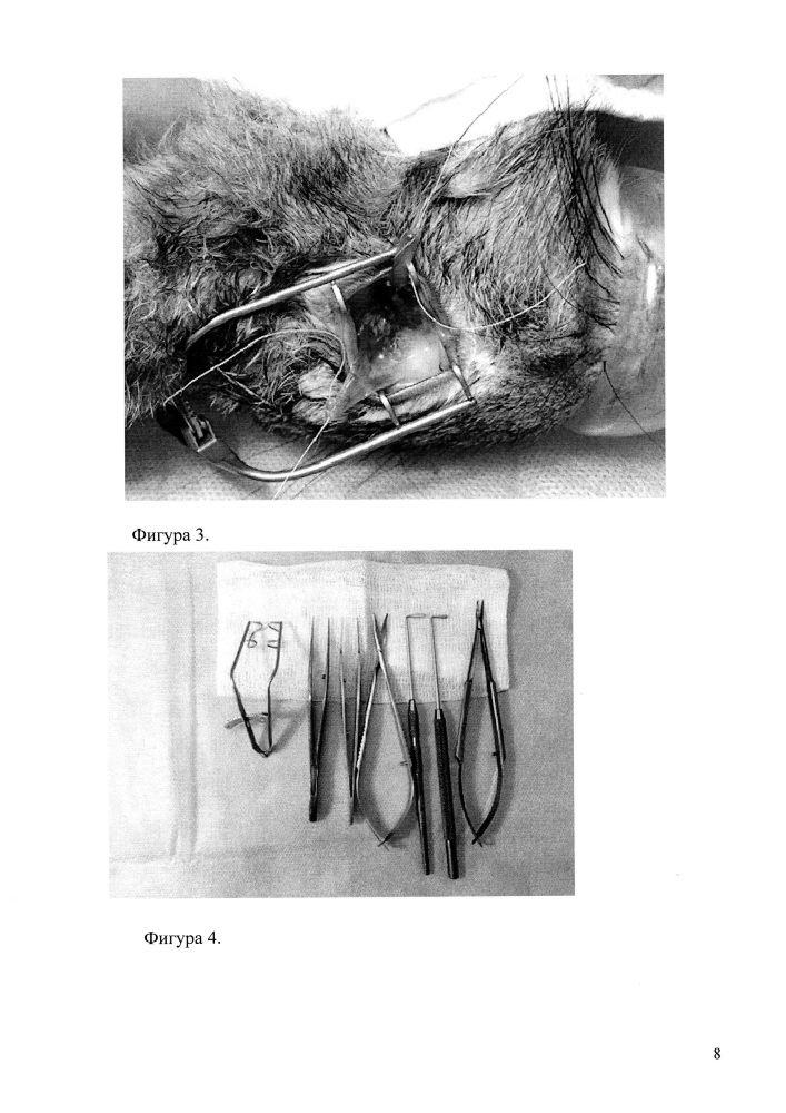 Способ прижизненной энуклеации глаза кролика (патент 2662415)