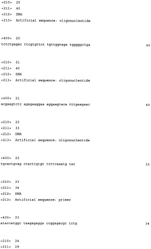 Кассета и рекомбинантная плазмида для зкспрессии и секреции механозависимого фактора роста человека (mgf), штамм saccharomyces cerevisiae - продуцент mgf и способ получения mgf (патент 2344173)