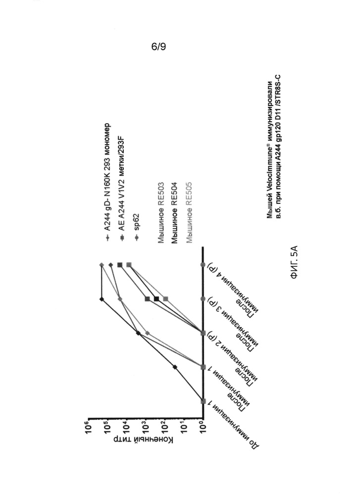 Разработка иммуногена на основе в-клеточной линии дифференцировки с использованием гуманизированных животных (патент 2664187)