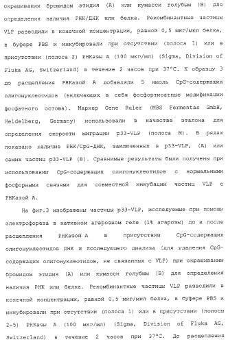 Композиции, содержащие cpg-олигонуклеотиды и вирусоподобные частицы, для применения в качестве адъювантов (патент 2322257)