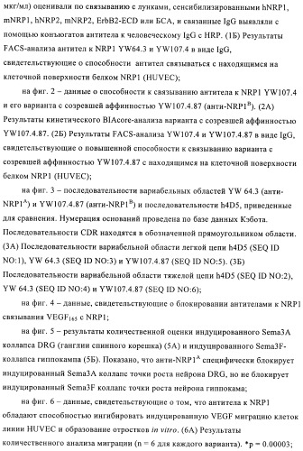 Антагонисты нейропилина (патент 2425842)