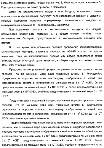 Порошкообразный кисломолочный продукт или йогурт с высоким содержанием молочнокислых микроорганизмов (патент 2452185)