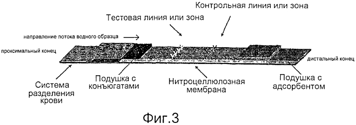 Устройства, способы и наборы для иммунохроматографии (патент 2568875)