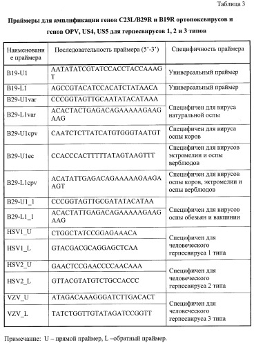 Набор олигонуклеотидов-праймеров, биочип и способ видовой идентификации ортопокс- и герпесвирусов, патогенных для человека (патент 2318875)