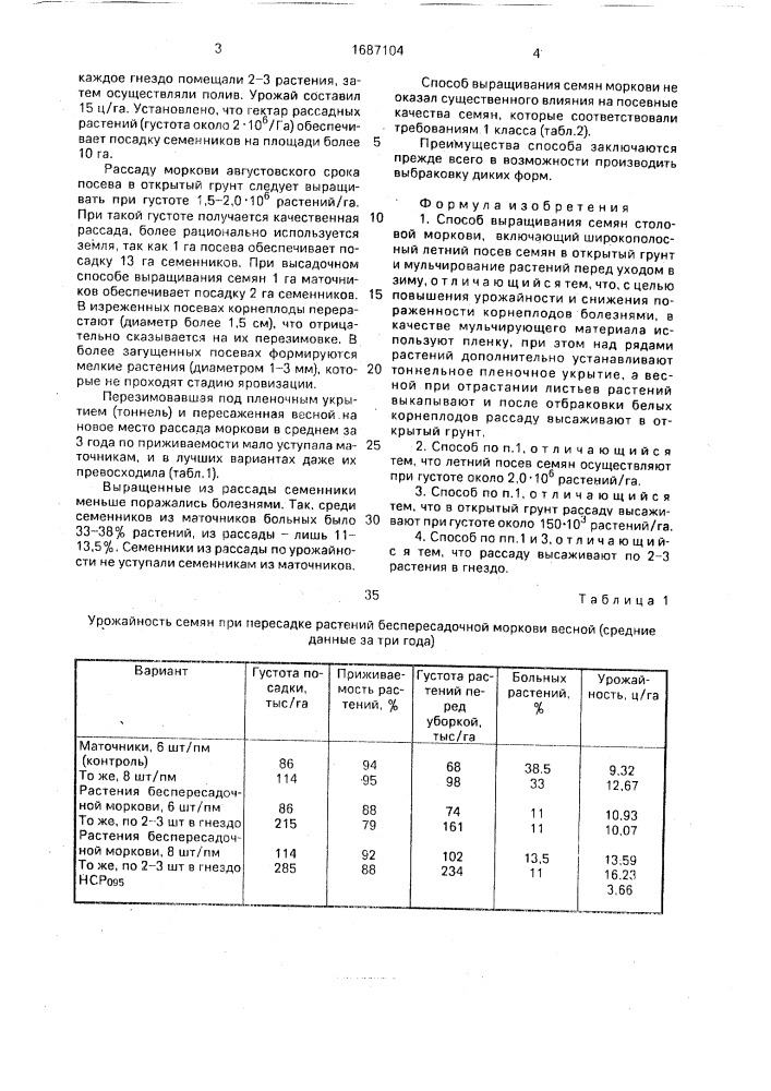 Способ выращивания семян столовой моркови (патент 1687104)