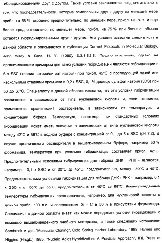 Новый ген элонгазы и способ получения полиненасыщенных кислот жирного ряда (патент 2311457)