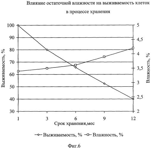 Способ получения бактериального концентрата пропионово-кислых бактерий (патент 2309982)