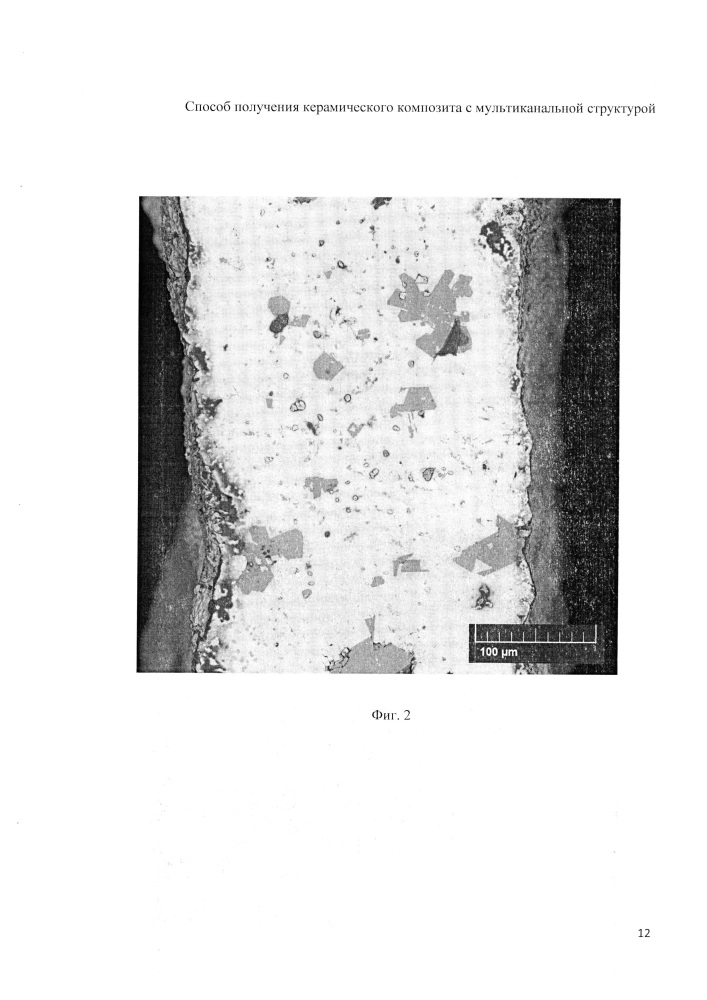 Способ получения керамического композита с мультиканальной структурой (патент 2622067)
