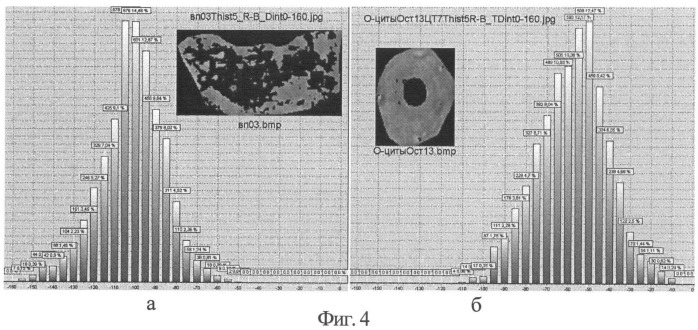 Способ оценки функционального состояния аморфной фазы минеральной компоненты костного матрикса (патент 2499258)