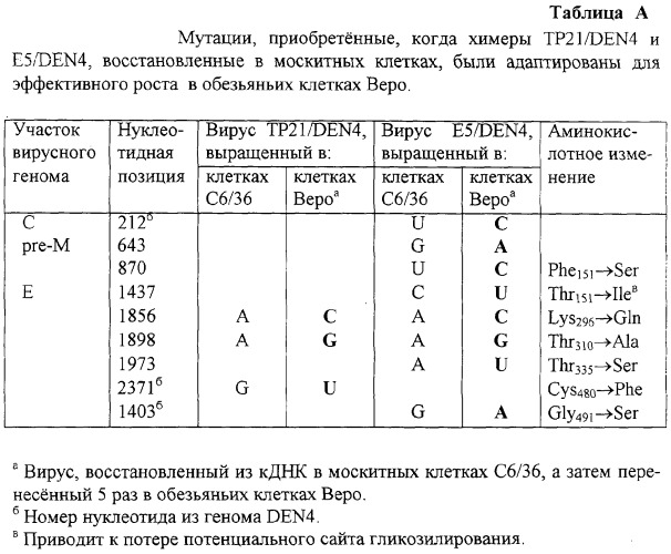 Инфекционные клоны полномерной кднк клещевого флавивируса (патент 2288266)