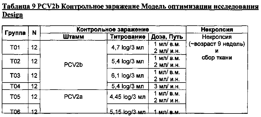 Pcv2b дивергентная вакцинная композиция и способы её применения (патент 2662685)