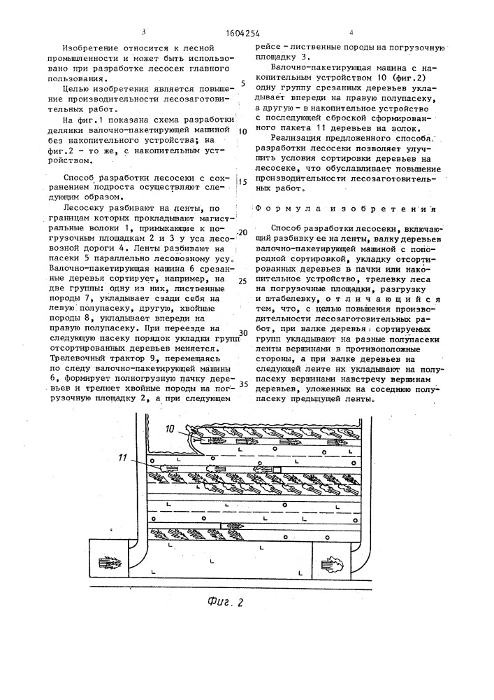 Способ разработки лесосеки (патент 1604254)