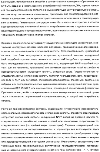 Способ повышения выхода семян растения, способ производства трансгенного растения, имеющего повышенную урожайность семян, генная конструкция для экспрессии в растении и трансгенное растение (патент 2409938)