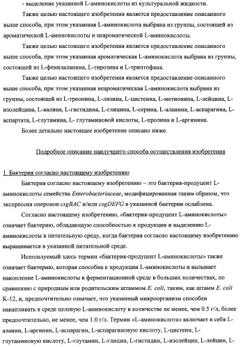 Способ получения l-треонина с использованием бактерии, принадлежащей к роду escherichia, модифицированной таким образом, что в ней нарушена способность к образованию ворсинок типа &quot;керли&quot; (патент 2338782)