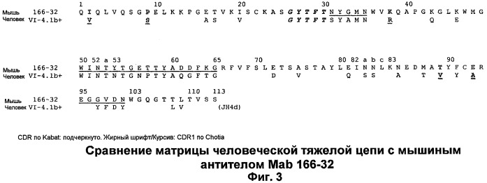 Гуманизированные антитела к фактору d и их применения (патент 2474589)