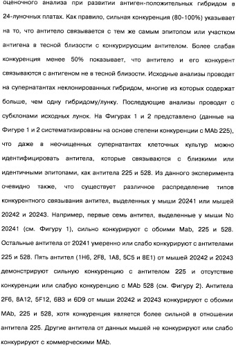 Человеческие моноклональные антитела к рецептору эпидермального фактора роста (egfr), способ их получения и их использование, гибридома, трансфектома, трансгенное животное, экспрессионный вектор (патент 2335507)