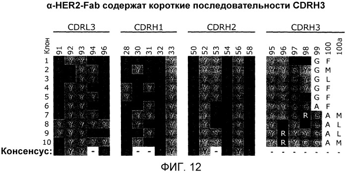 Связывающие полипептиды и их применения (патент 2470941)