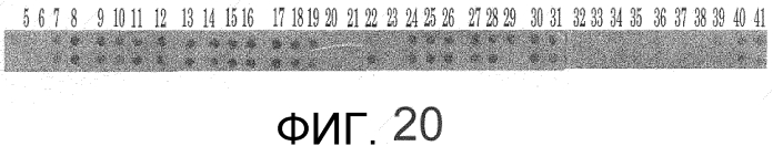Способ сбора функциональных клеток in vivo с высокой эффективностью (патент 2571230)