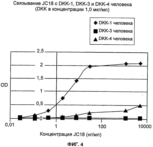 Блокирующие антитела против dkk-1 и их применения (патент 2548817)