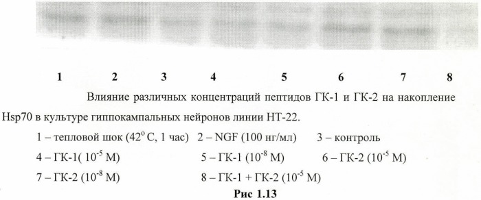 Дипептидные миметики нейротрофинов ngf и bdnf (патент 2410392)