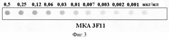 Штамм гибридных клеток животных mus musculus 3f11 - продуцент моноклональных антител, специфичных к ботулиническому токсину типа b (патент 2566553)