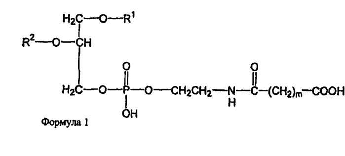 Новые композиции липосом (патент 2454229)