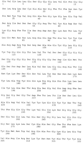 Pscaxcd3, cd19xcd3, c-metxcd3, эндосиалинxcd3, epcamxcd3, igf-1rxcd3 или fap-альфаxcd3 биспецифическое одноцепочечное антитело с межвидовой специфичностью (патент 2547600)