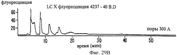 Соединение экстракта какао и способы их получения и применения (патент 2394562)